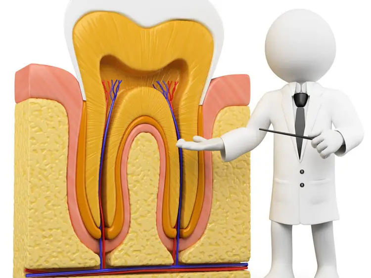 مراقبت های بعد درمان ریشه دندان